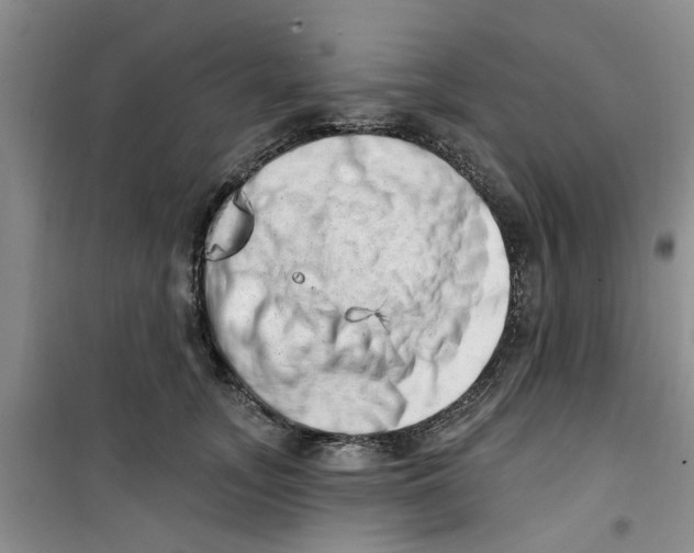 X0000100960755200807221145