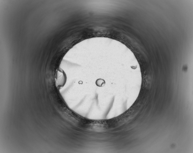 X0000100960756200807221145