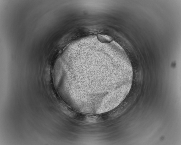 X0000100960757200807221145