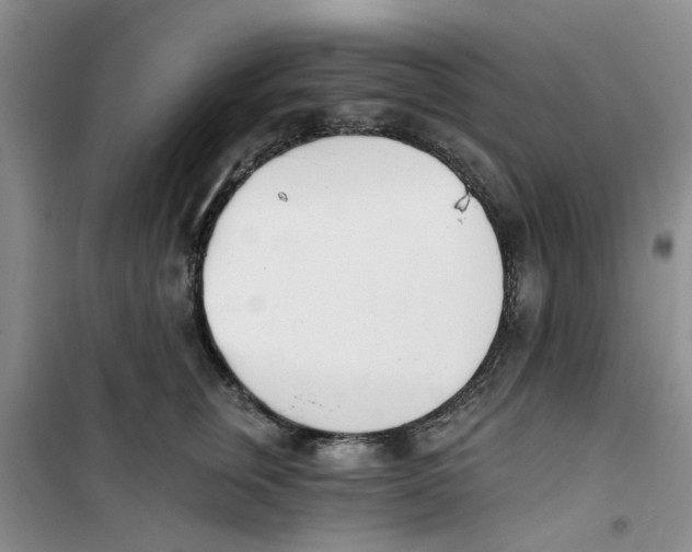 X0000100960759200807221145