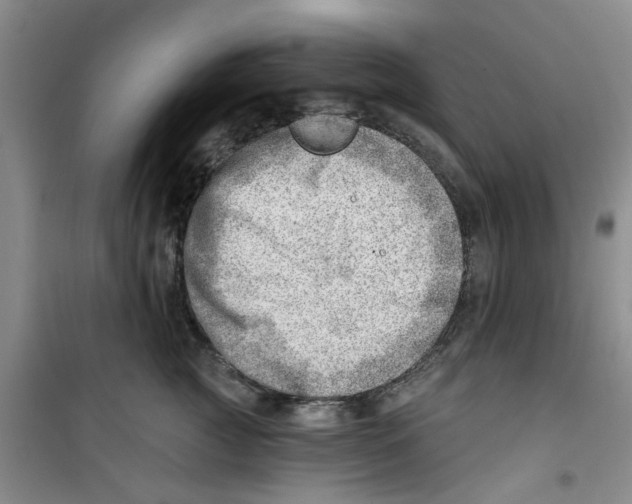 X0000100960761200807221145