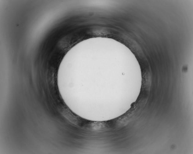 X0000100960762200807221145