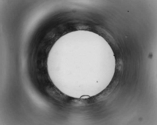 X0000100960763200807221145