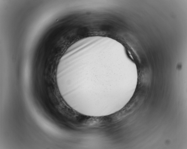 X0000100960764200807221145