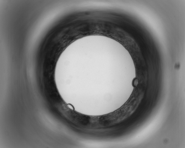 X0000100960766200807221145