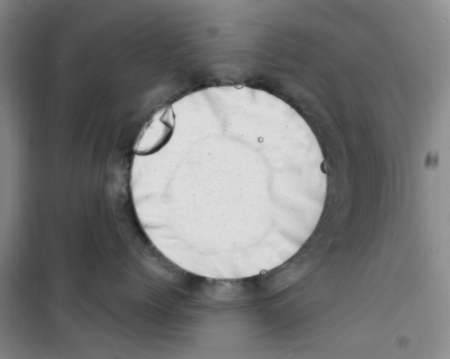 X0000100960768200807221145