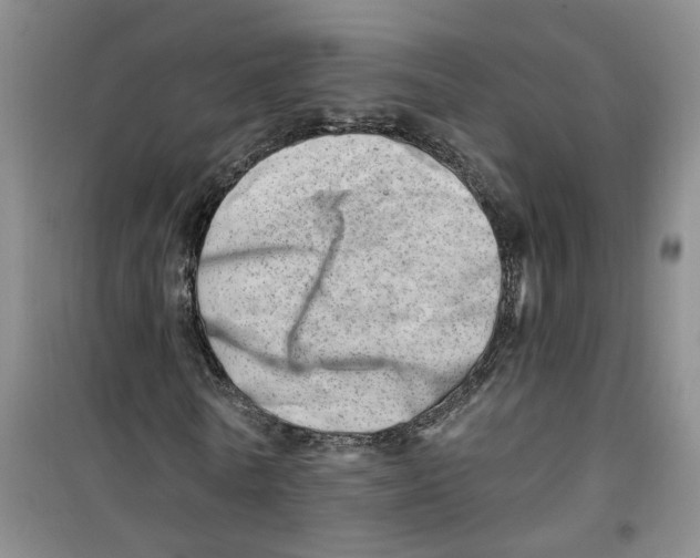 X0000100960770200807221144