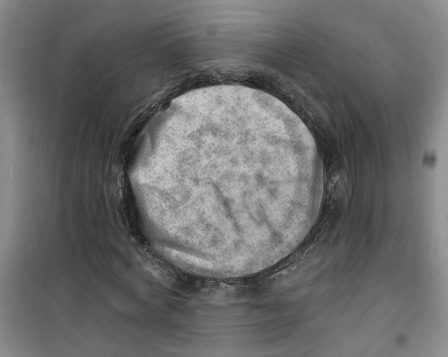 X0000100960772200807221144