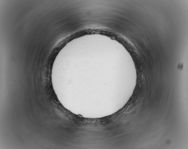 X0000100960775200807221144