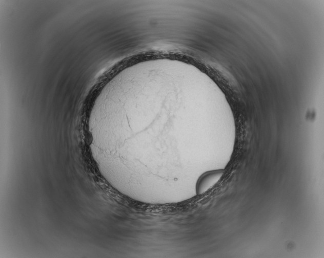 X0000100960776200807221144