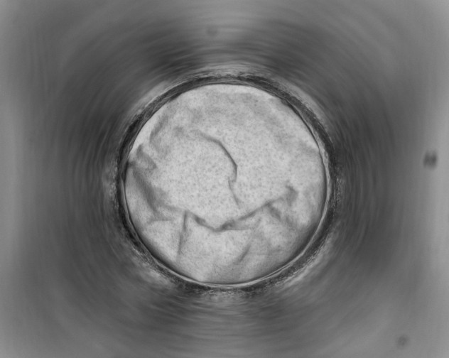 X0000100960778200807221144