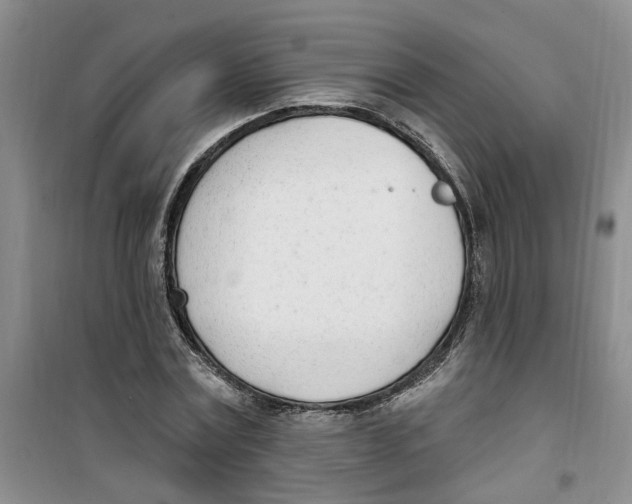 X0000100960779200807221144