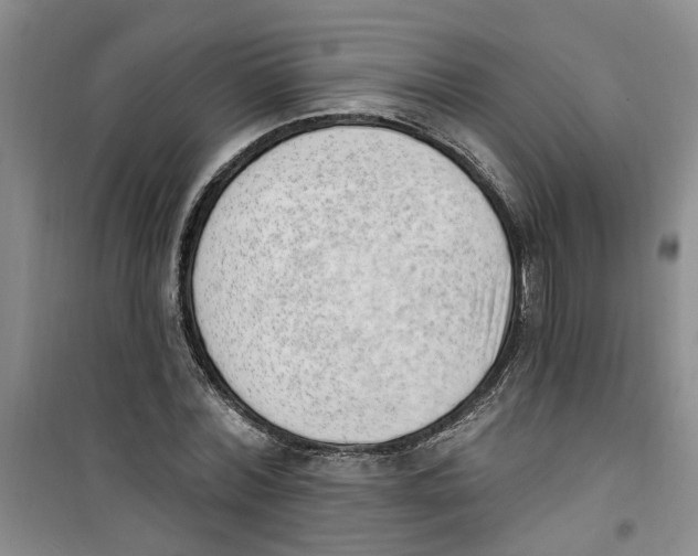 X0000100960780200807221144