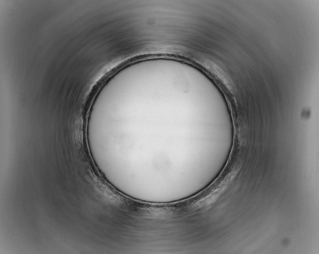 X0000100960781200807221144