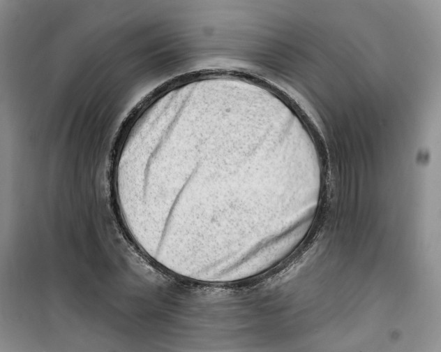 X0000100960783200807221144