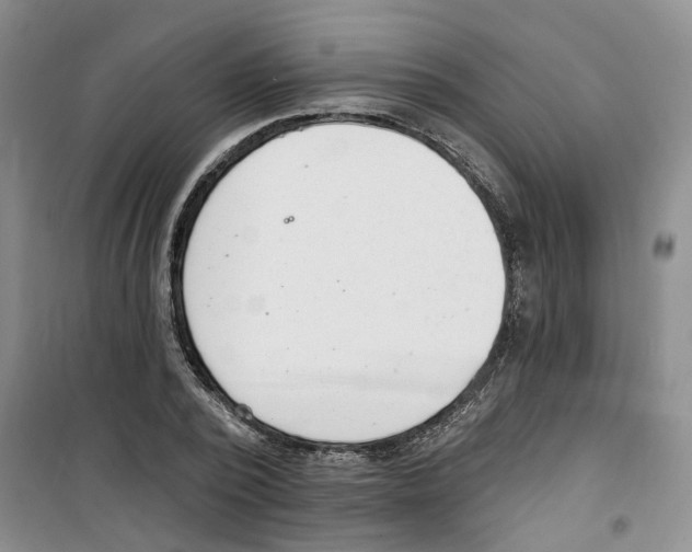 X0000100960784200807221144