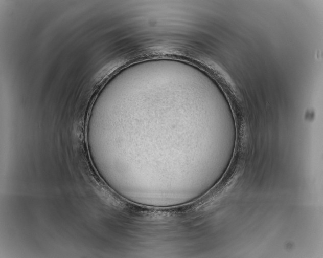 X0000100960785200807221144