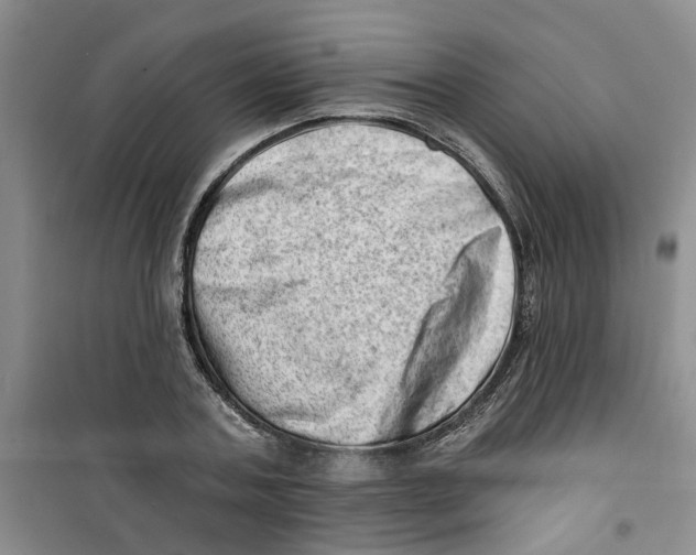 X0000100960787200807221144