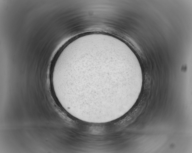 X0000100960788200807221144