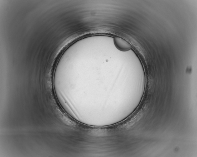 X0000100960789200807221144