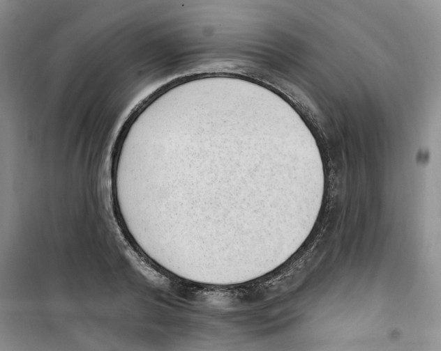 X0000100960792200807221144