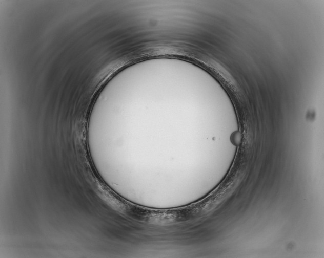 X0000100960793200807221144