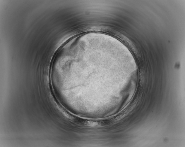 X0000100960794200807221144