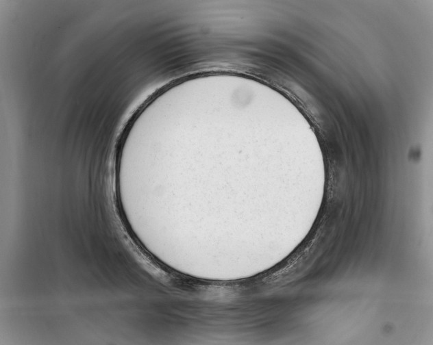 X0000100960796200807221144