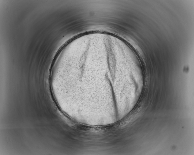 X0000100960799200807221144