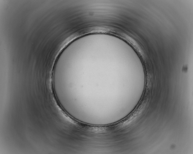 X0000100960802200807221144