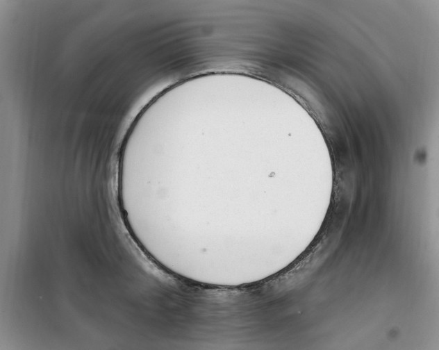 X0000100960804200807221144