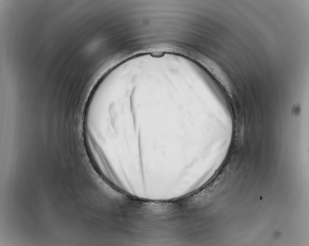 X0000100960805200807221144