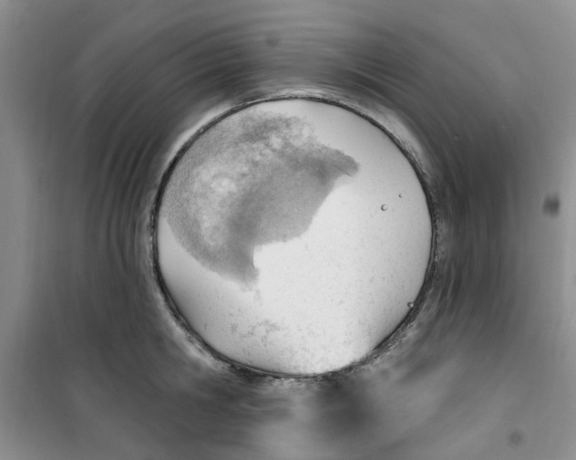 X0000100960806200807221144