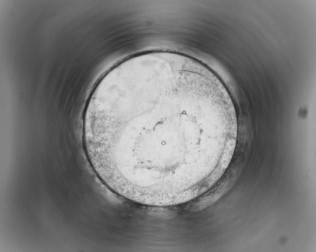 X0000100960807200807221143