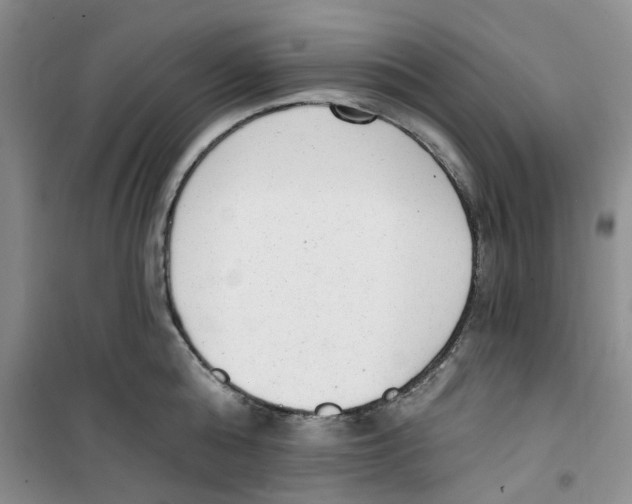 X0000100960808200807221143