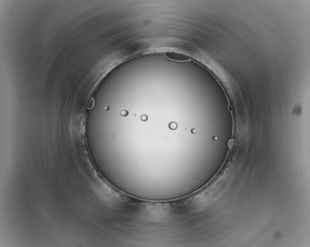 X0000100960809200807221143