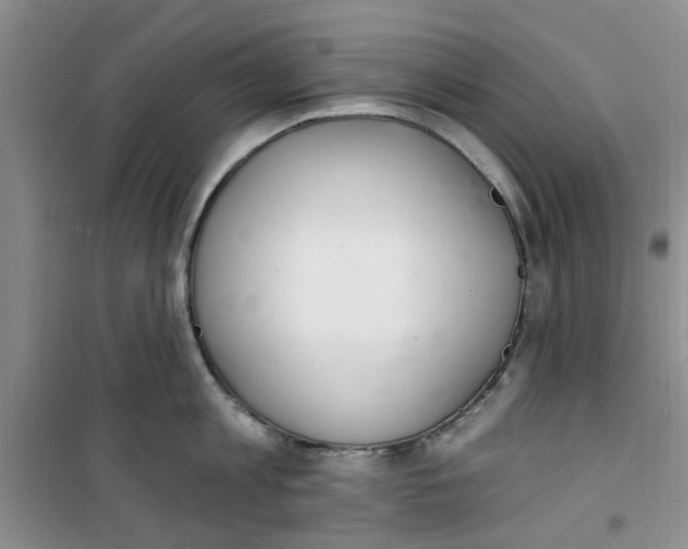 X0000100960813200807221143