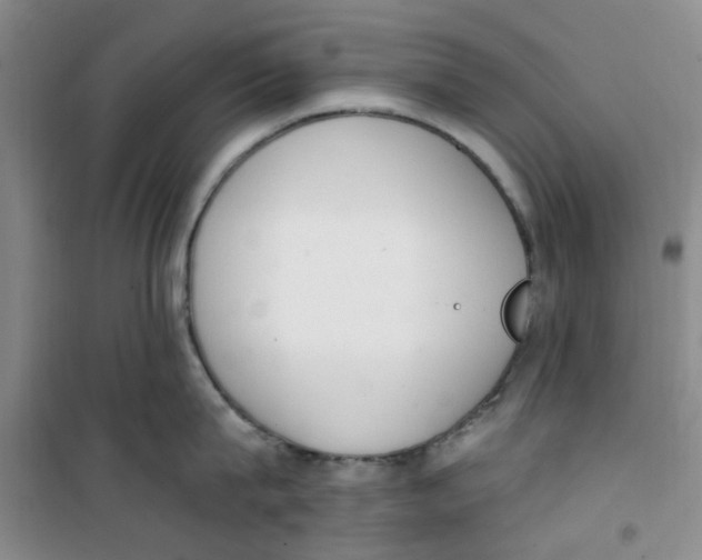 X0000100960815200807221143