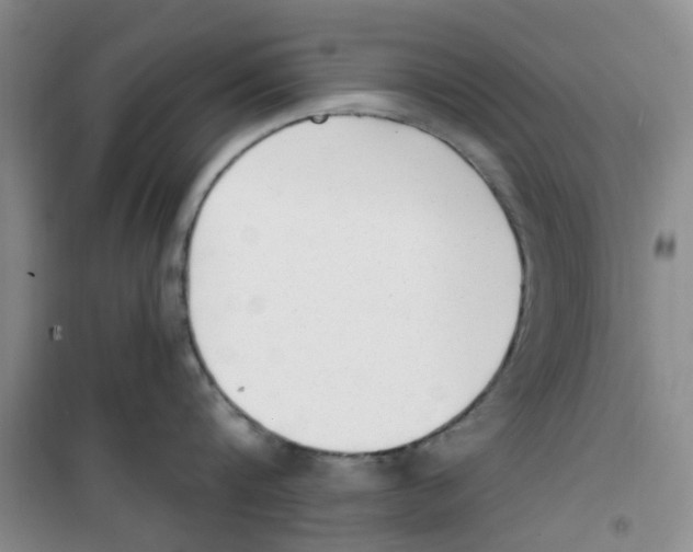 X0000100960816200807221143