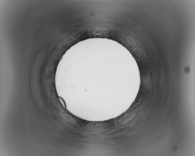 X0000100960817200807221143