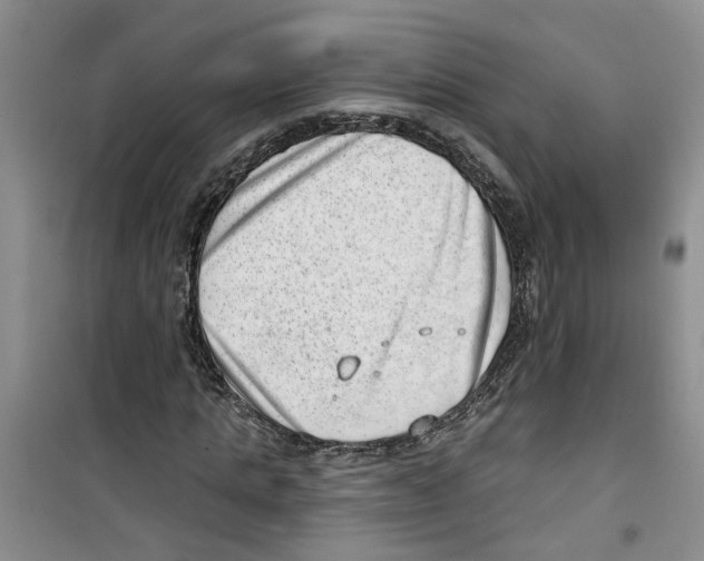 X0000100960821200807221143