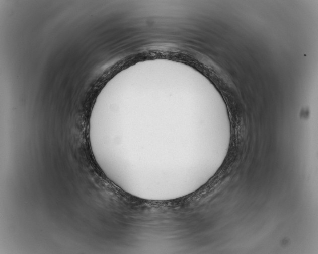 X0000100960822200807221143