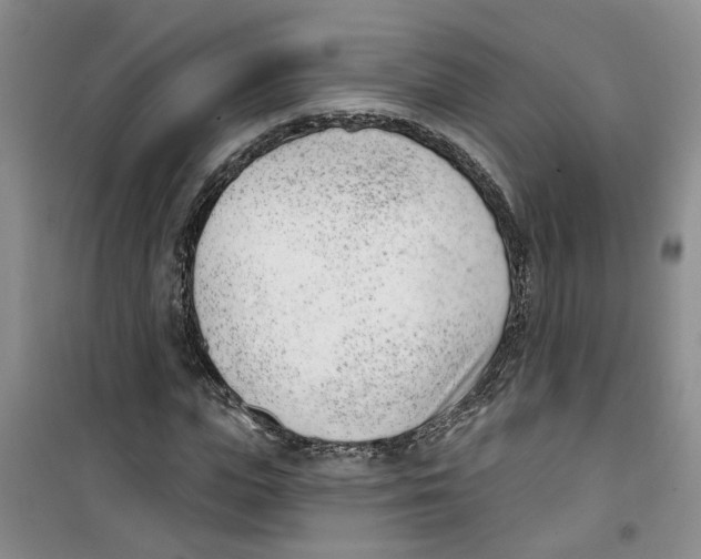 X0000100960823200807221143