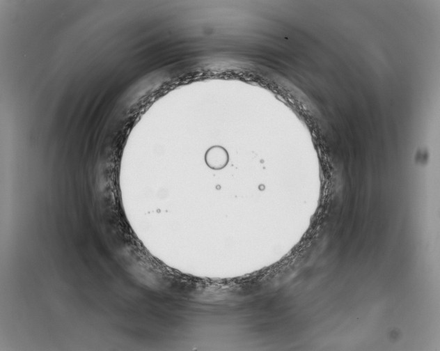 X0000100960824200807221143