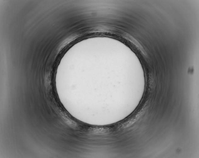 X0000100960826200807221143