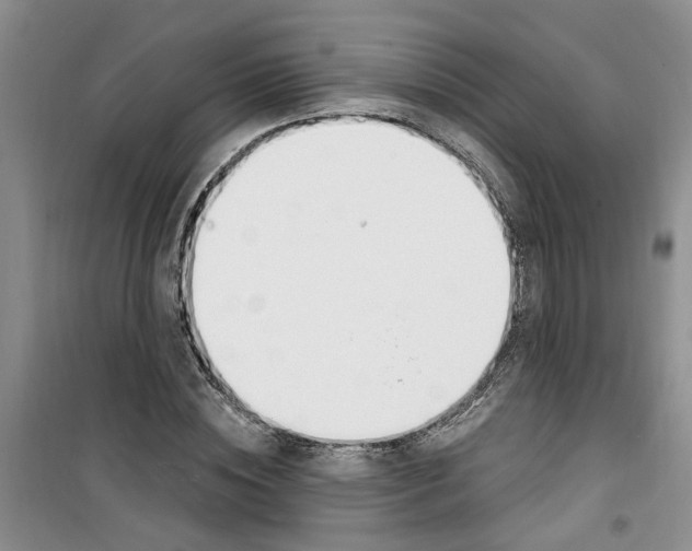 X0000100960828200807221143