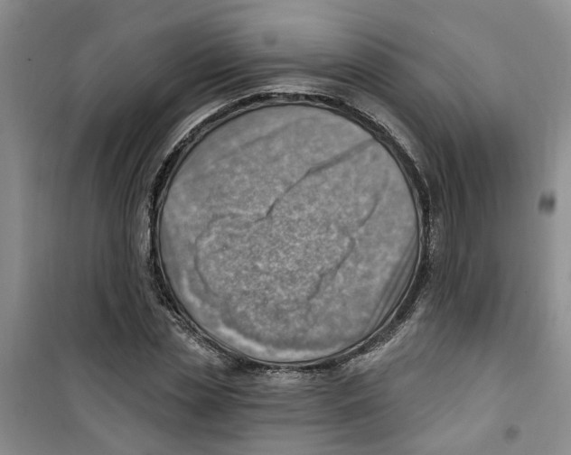 X0000100960829200807221143