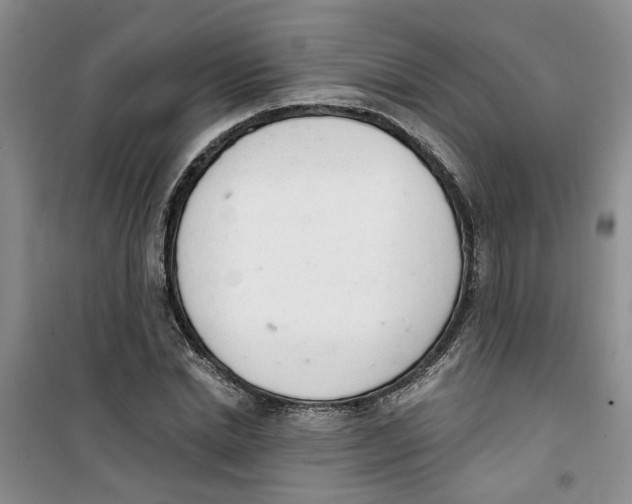 X0000100960830200807221143