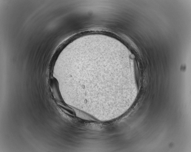 X0000100960831200807221143