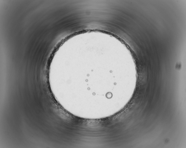 X0000100960832200807221143